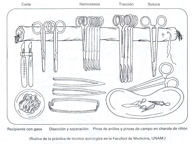 Orden Del Instrumental Quirurgico En La Mesa De Mayo conocimientosweb.net
